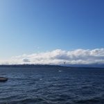 The importance of vitamin D