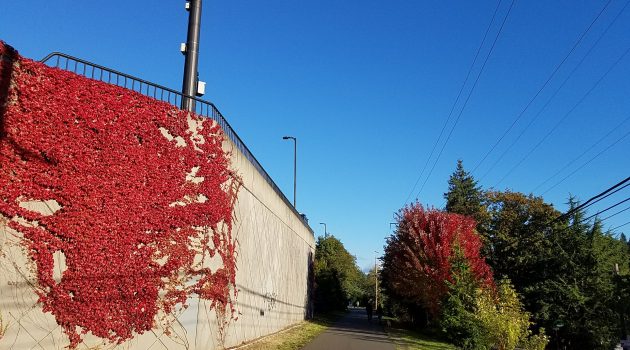 Riding in fall weather