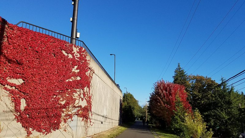 Cyclists can look at beautiful landscapes and slippery roads.