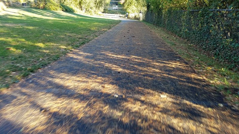 Wet paths are fine for riding as long as you don't suddenly brake or change direction.