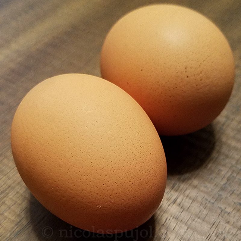 2 large organic brown eggs