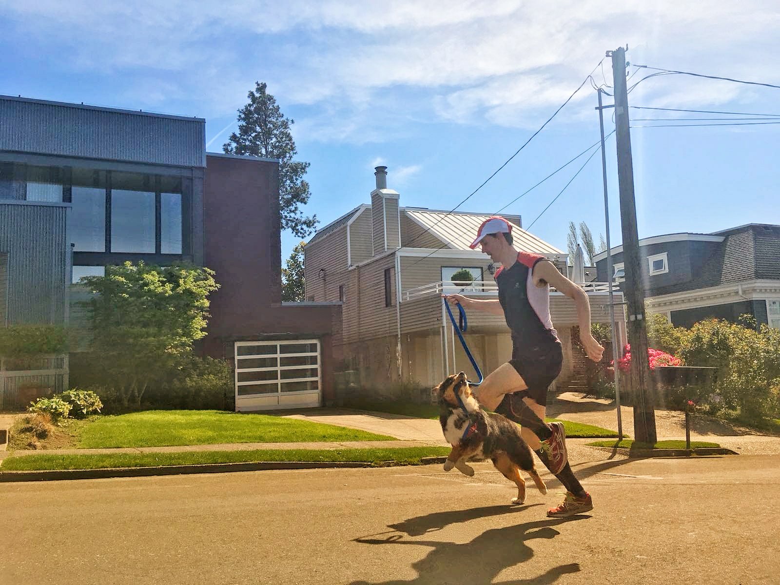 Interval training on hill repeats with my dog Mocha