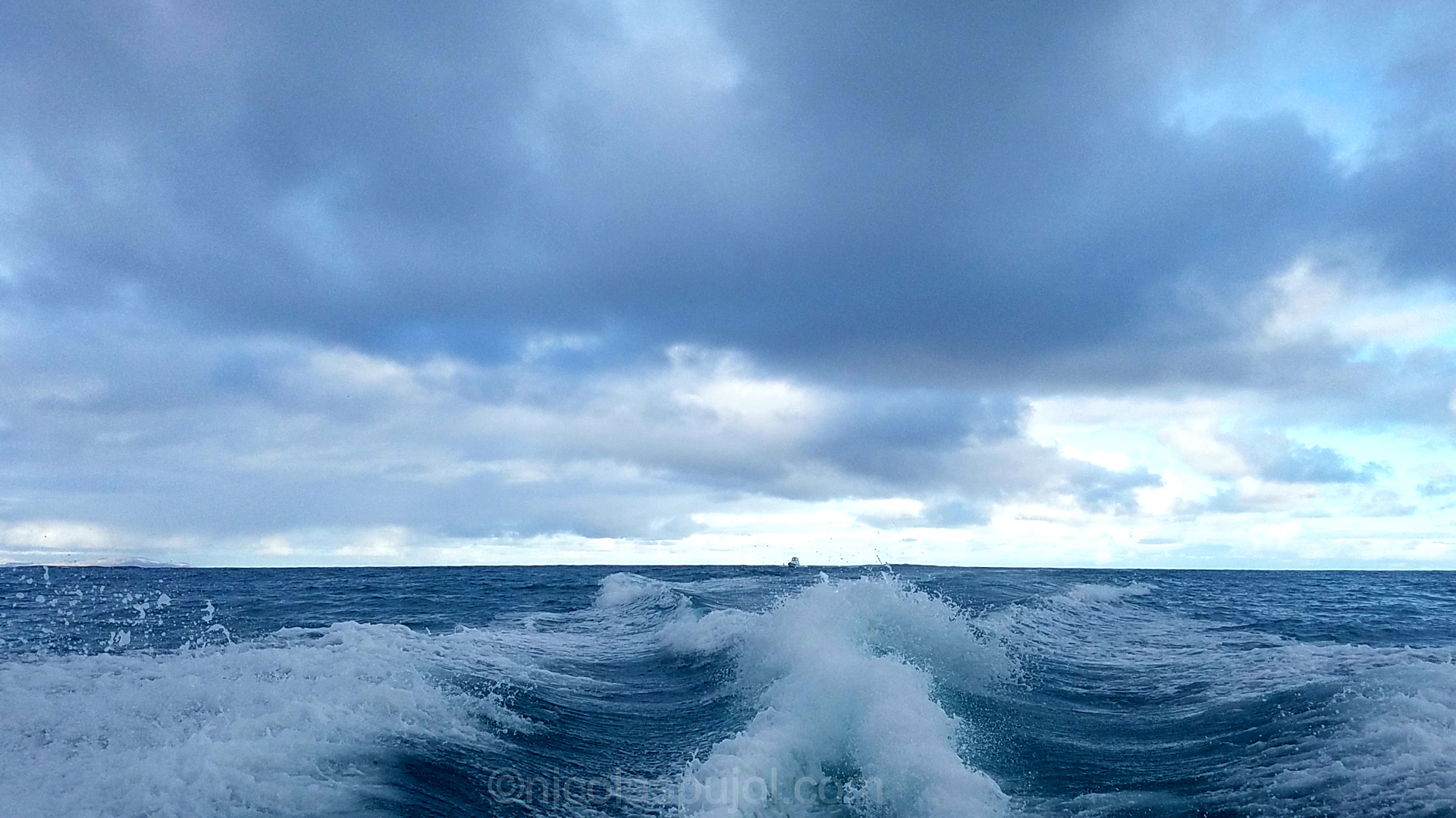 How to avoid and stop motion sickness in cars, boats and planes