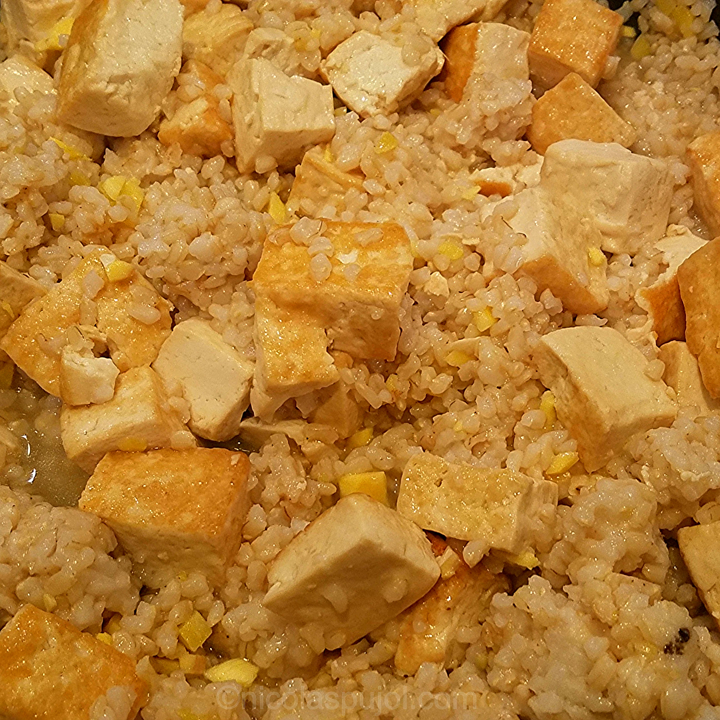 Tofu fried rice in Vietnamese sauce - Stir-fry - nicolaspujol.com