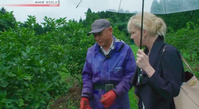 NHK Medical Frontiers - kabosu and grapefruit health benefits