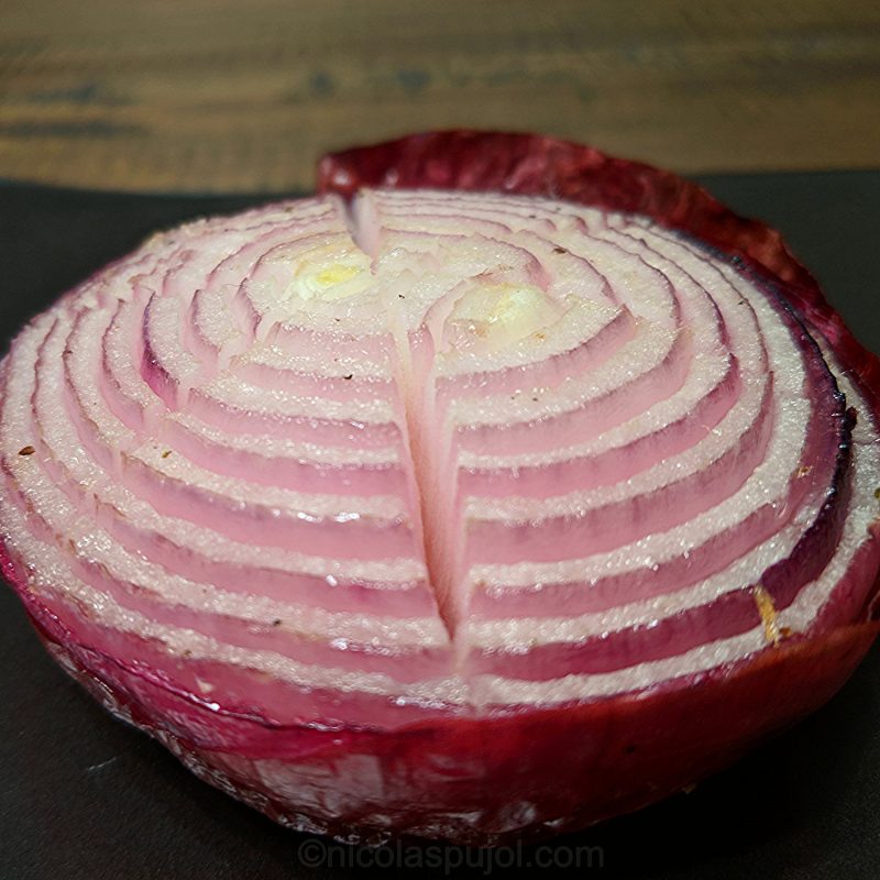 seared onion appetizer