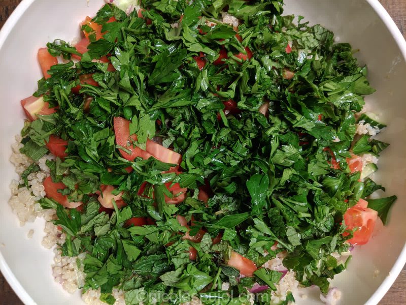 Chopped parsley, mind, cucumber, tomato and onion for no-oil tabouli salad