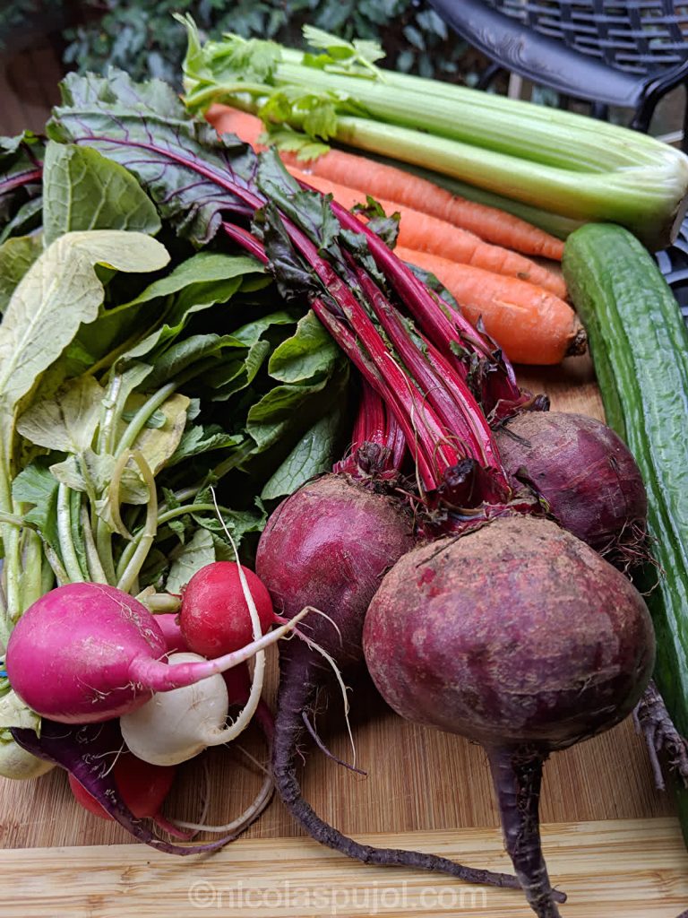 Fresh beet greens and vegetables