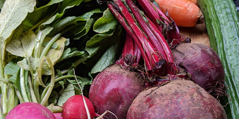 Fresh beet greens and vegetables