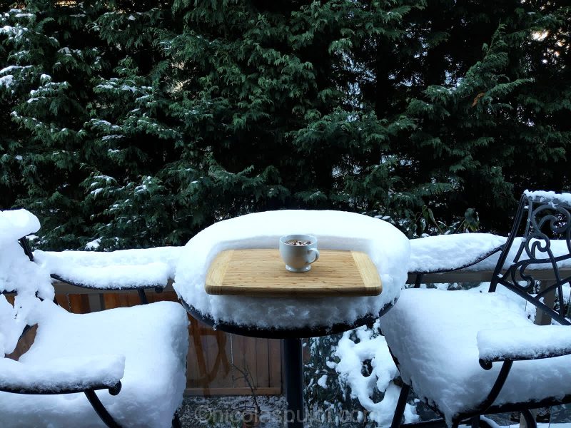 Hot cappuccino served on snow