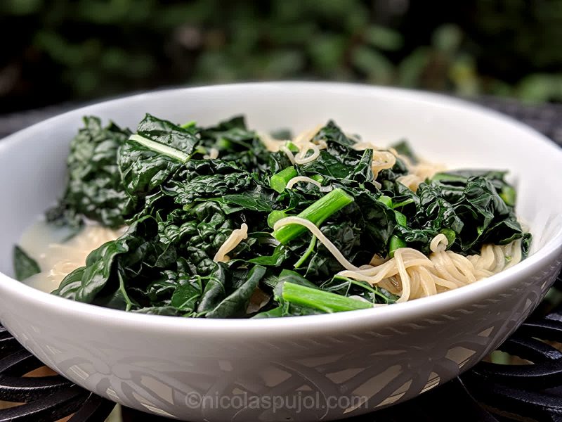 Whole food, plant-based, no oil WFPBNO kale noodles