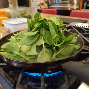 Add the spinach to the beets and orange juice