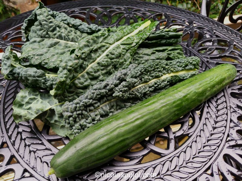 Lacinato kale and cucumber for golden beet dressing