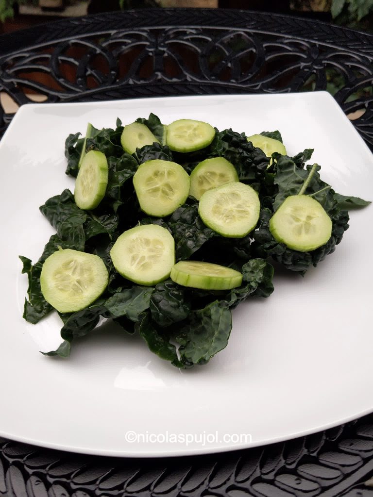 Lacinato kale and cucumber salad ingredients