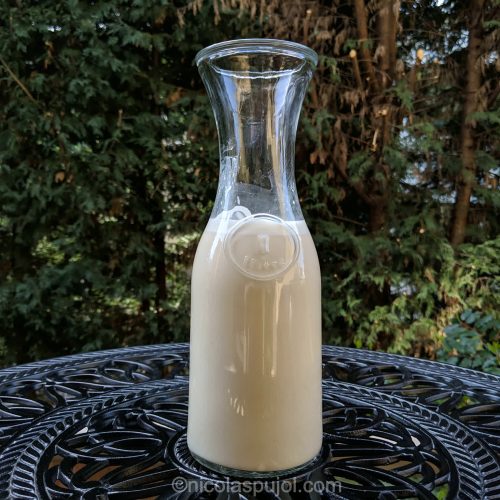 Quick oat milk recipe using rolled oats