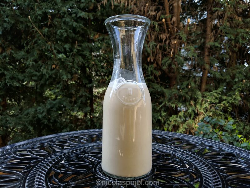 Quick oat milk recipe using rolled oats