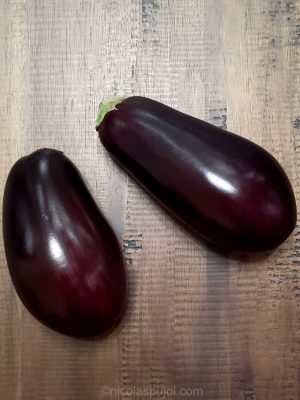 Small eggplants for air fryer appetizers