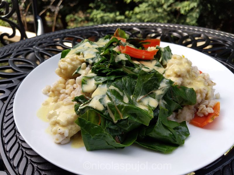 Vegan barley and rainbow chard