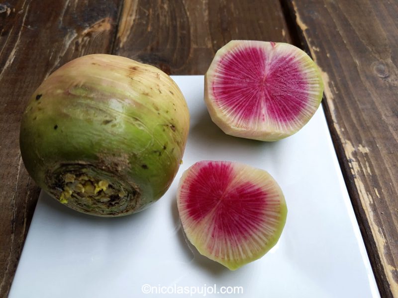 Burpee watermelon radish salad recipe