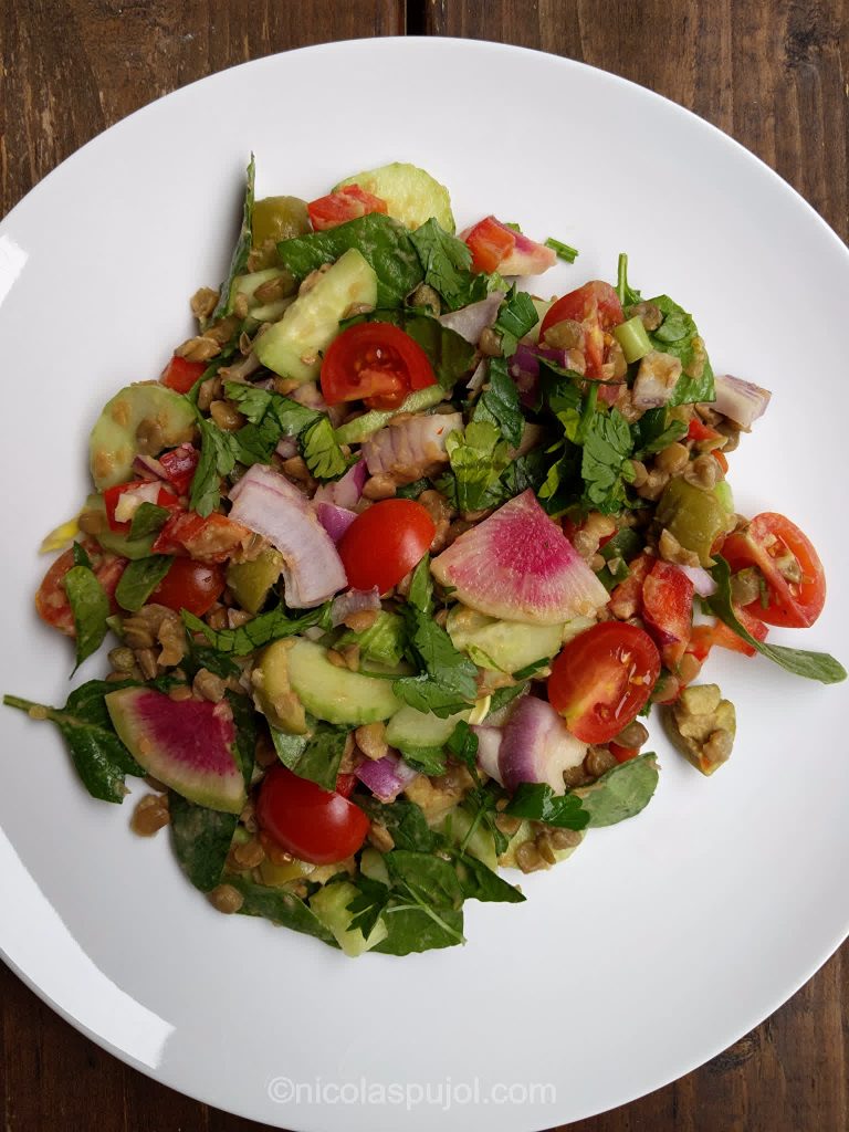 Green lentil salad with fresh vegetables