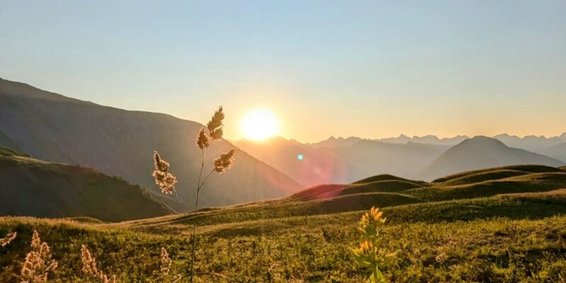 Instinct, song lyrics